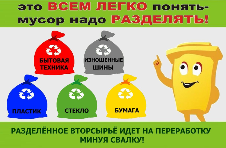 sortirovanie mysora 06032026